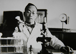 1955年，湯飛凡主持的沙眼研究小組分離出世界上第一株“沙眼衣原體”，命名為TE8，后在國際醫(yī)學(xué)界引起巨大反響