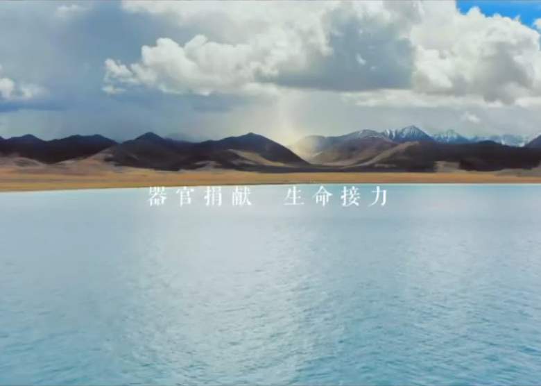 器官捐獻 生命接力