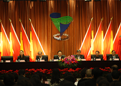 2010年12月，中出服、國藥外貿和中衛(wèi)合作共同組建中國國際醫(yī)藥衛(wèi)生公司（簡稱國藥國際）。